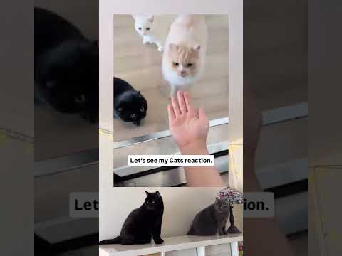 Some Experiences You Just Don’t Wash Off