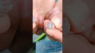 এতো ছোট সুপারির আঞ্চলিক নাম কি⁉️ #dailyvlog #minivlog #shortvideo #shorts
