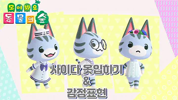 동숲 사이다