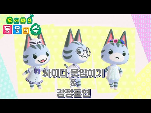 동숲 사이다 mp3 동숲 사이다 Mp3