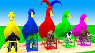 5 Giant Duck & Wild Animals Cage Game Cow, Gorilla, Rhinoceros, Elephant, Sheep Crossing Fountain