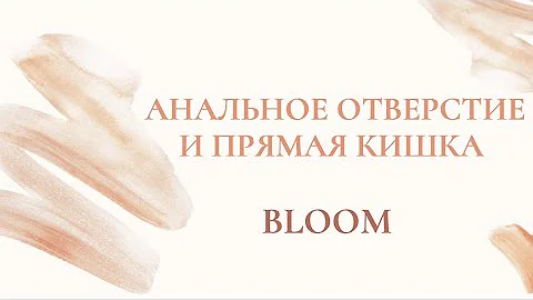 Анальное отверстие и прямая кишка. Анатомия.