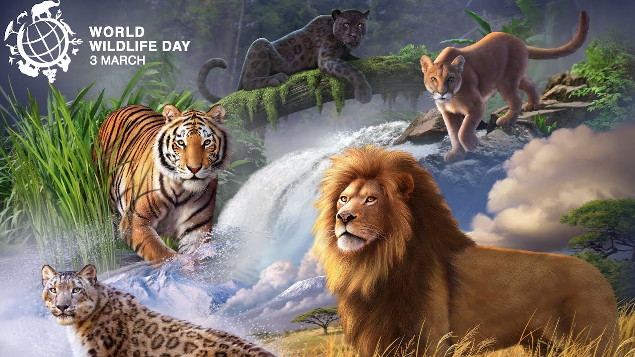 Всемирный день дикой природы