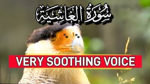 Surah  al Ghashiya full ( سورة الغاشية) Arabic subtitles with English Translation