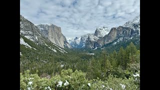 Our best day in California! Day 3 in Yosemite National Park!!