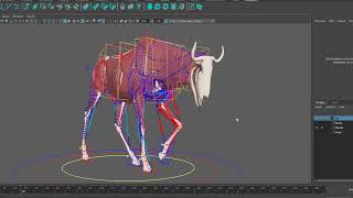 Inbibo Adonisfx Muscle Simulation