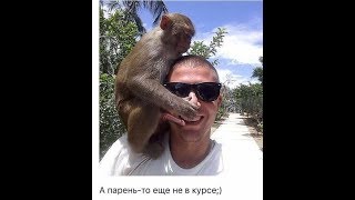 трахуны ебал козу