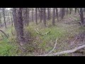 Huge Elk Sheds Montana Huge Elk Sheds Montana