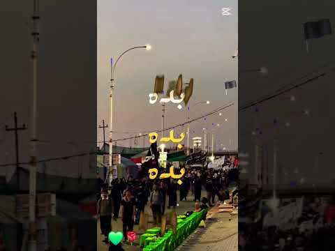 شاهد زوار ابا عبد الله الحسين مشايه من البصره الى كربلاء 170