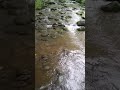 Relaxing Mountain Stream #relax #shorts