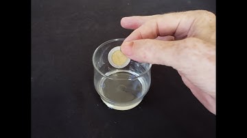 The "disappearing coin" magic trick revealed and how to make.