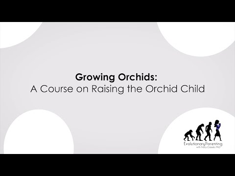 Video: Bästa barnorkidéer: Lär dig om nybörjarorkidéer för barn