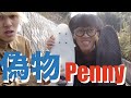 【実験】偽物のPENNY（ペニーボード）の性能は本物とどのくらい違うのか？