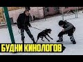 Будни Кинологов 🐶