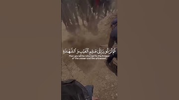 قُلْ إِنَّ الْمَوْتَ الَّذِي تَفِرُّونَ | سورة الجمعة | القاري:ماهر المعيقلي #فلسطين #غزة #اكسبلور
