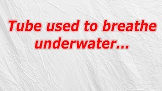 Tube used to breathe underwater (CodyCross Crossword Answer)