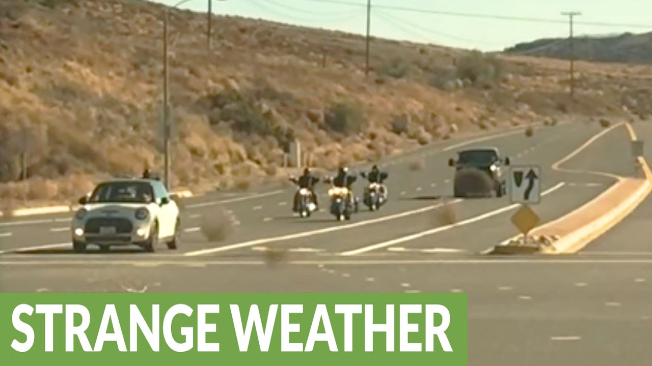 Runaway tumbleweeds create unique road hazard YouTube