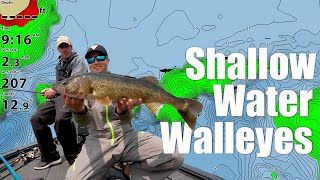 Shallow Water Walleyes