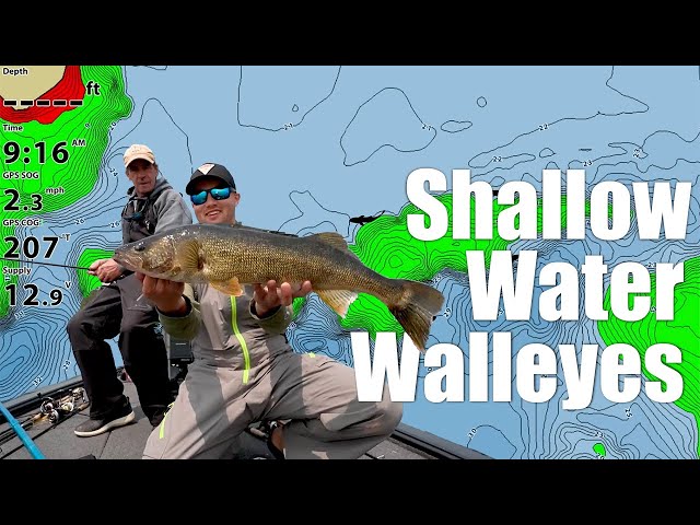 Shallow-water walleyes - Major League Fishing