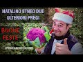Natalino Etneo Due Caratteristiche Superiori