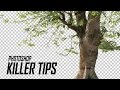 Photoshop Tutorial/Tips - Cut Out Tree in Photoshop | Cropping Defringe in Hindi/Urdu