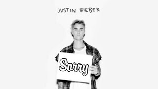 Sorry - Justin Bieber (lyrics animation)