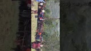 Download Lagu Sabtu  14  Desember Rakyat / masyarakat Kabupaten Tolikara  Pesta Kemenangan JONES. MP3 Download Lagu Sabtu  14  Desember Rakyat / masyarakat Kabupaten Tolikara  Pesta Kemenangan JONES. MP3