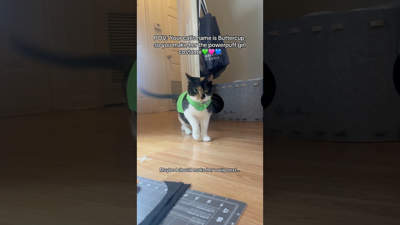 SassyCat has a new outfit 💚 