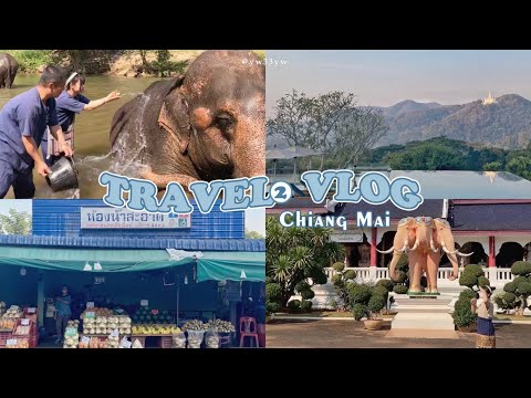 TRAVEL VLOG #𝟑｜🇹🇭清邁是第一次（下）❗️大象洗澡餵食🐘 藍廟🦚 嘟嘟車遊古城🛺 榴槤椰子初體驗🥥 | 𝙮𝙬