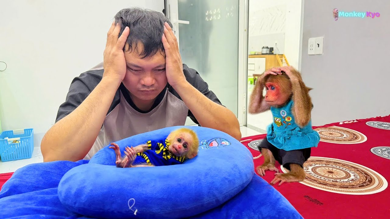 OMG! Little Monkey BuNa Showed Strange Symptoms — Dad Was Shocked!