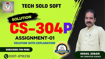 CS304P Assignment 1 Solution Spring 2025 | Object Oriented Programming in C++ | Tech Solo Soft
