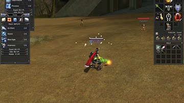 RF Online Wand Staff Animation + Effects