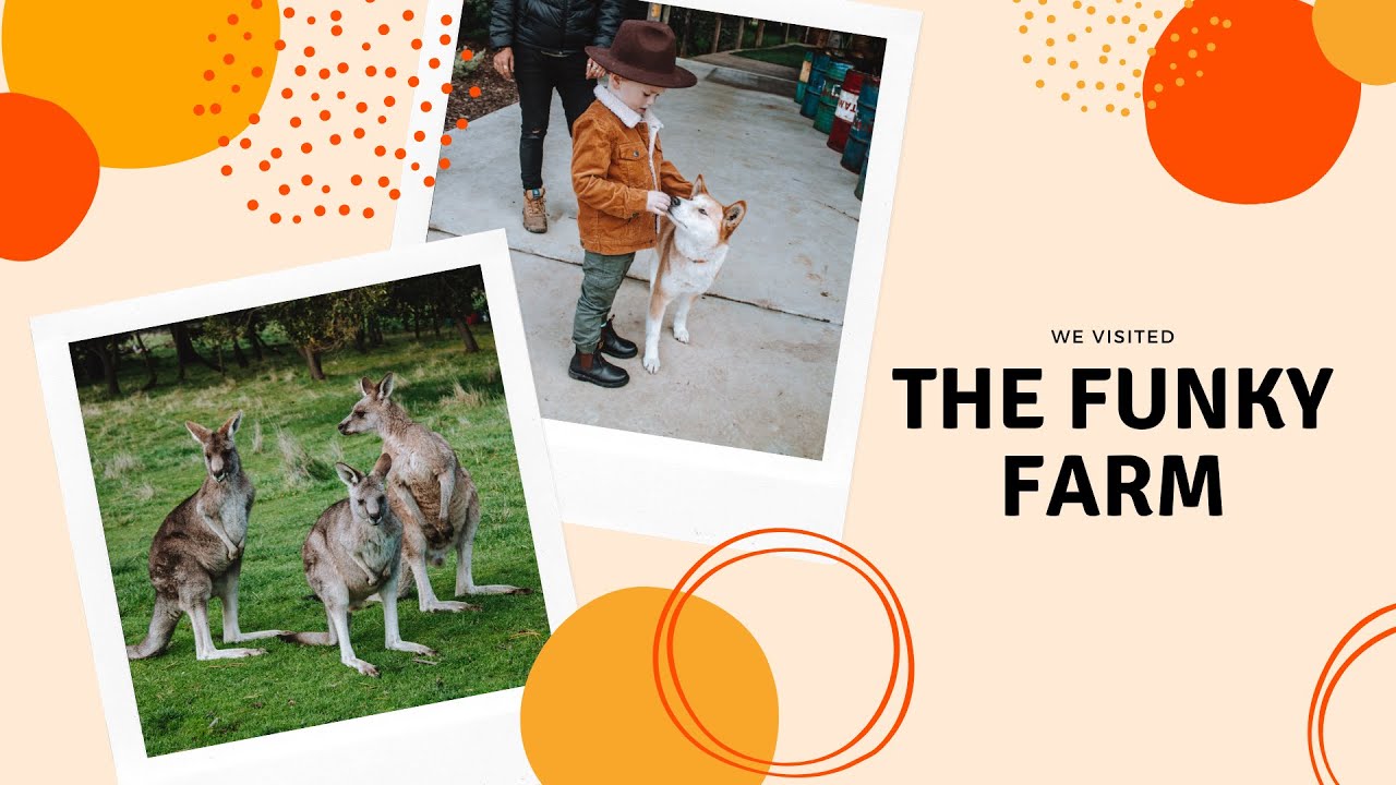 We Visited The Funky Farm | Family Farm | Crocodiles, Kangaroos, Snakes & More- Mornington Peninsula
