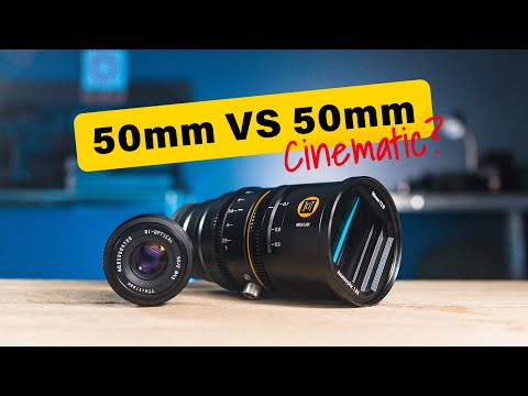 This Lens Looks