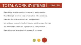 Competency Assessment Total Work Systems