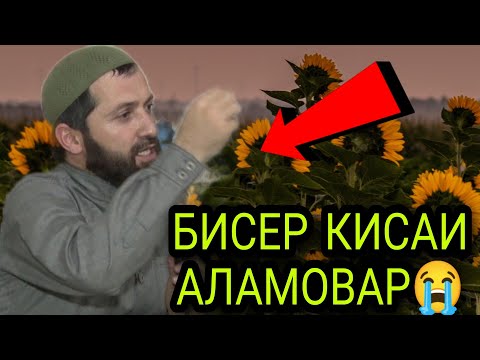 Эшони Зикруллох  бисер кисаи алам овар😭😭#хочимирзо #амри_маъруф #эшонинуриддин @user-kj9sn8yq6o