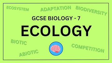 AQA GCSE Biology in 10 Minutes! | Topic 7 - Ecology