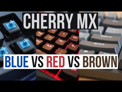 Uensartet dybtgående At interagere Cherry MX Red vs Brown vs Blue Mechanical Switch Sound Comparison - YouTube