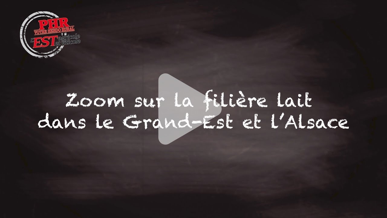 Zoom sur la filière lait dans le Grand-Est et en Alsace - YouTube