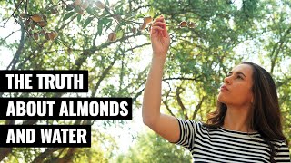ALMOND | How Does it Grow? (Part II) by TRUE FOOD TV 22,394 views 5 months ago 11 minutes, 15 seconds
