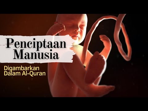 Video: Apakah kitaran hidup manusia?