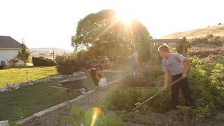 The Joneses' Story of Discovering the Word of Wisdom
