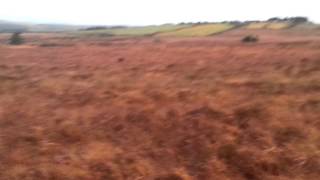 Snipe Hawking3 281213