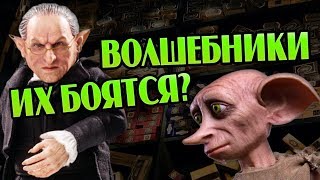 За Что Гоблинам и Эльфам Запрещено Иметь Волшебные Палочки?