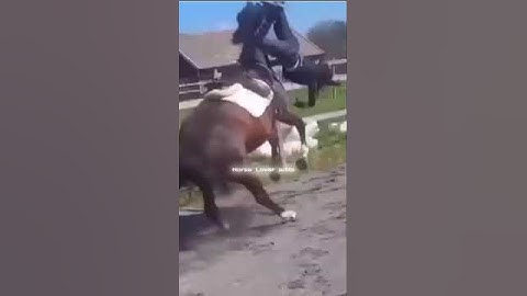 Lazy edit because I’m tired 🥱  #horse #equestrian