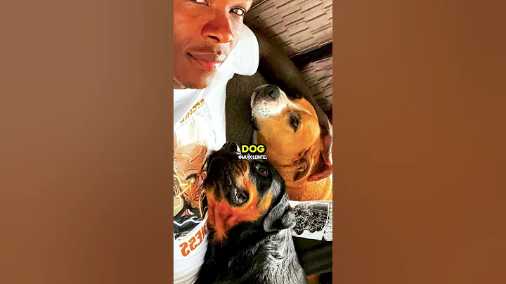 When UFC Champion Insulted Israel Adesanya’s Family 😬🥊