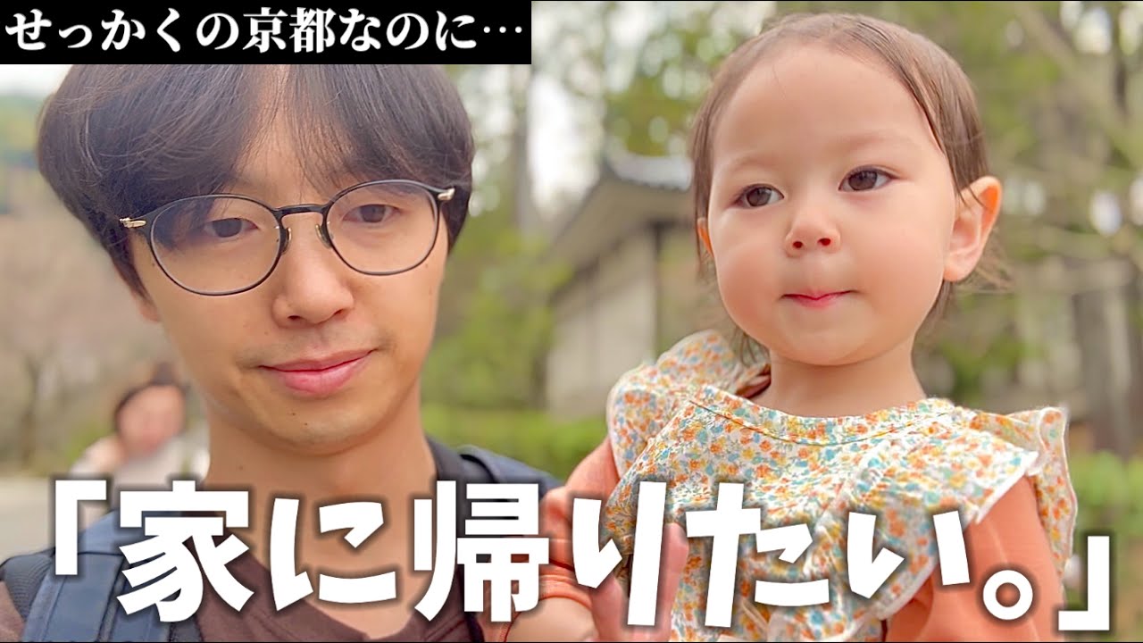 【密着】イヤイヤ期到来⁈日本大好き外国人家族との京都一泊二日旅行はこんな感じです。