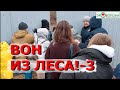 Москвичи прорвались на стройплощадку в Косинский парк