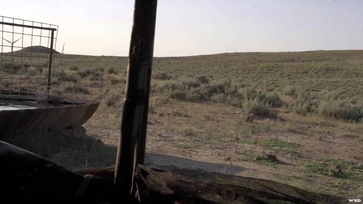 Archer's Choice - Wyoming Antelope & Mule Deer vs. Ralph & Vicki Part 1