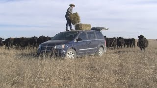 Ranchin' In My Van   (Camila Cabello "Havana" Parody)